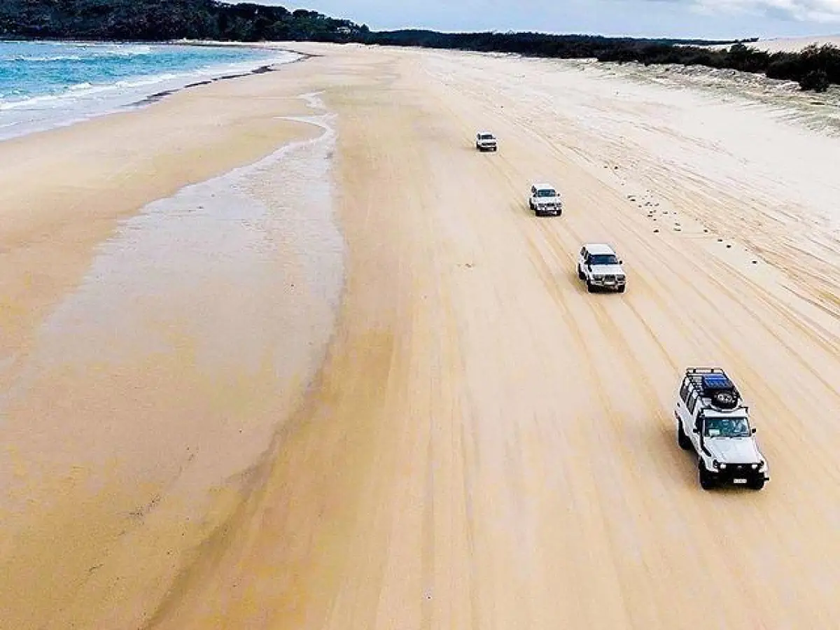 a group of people on a beach