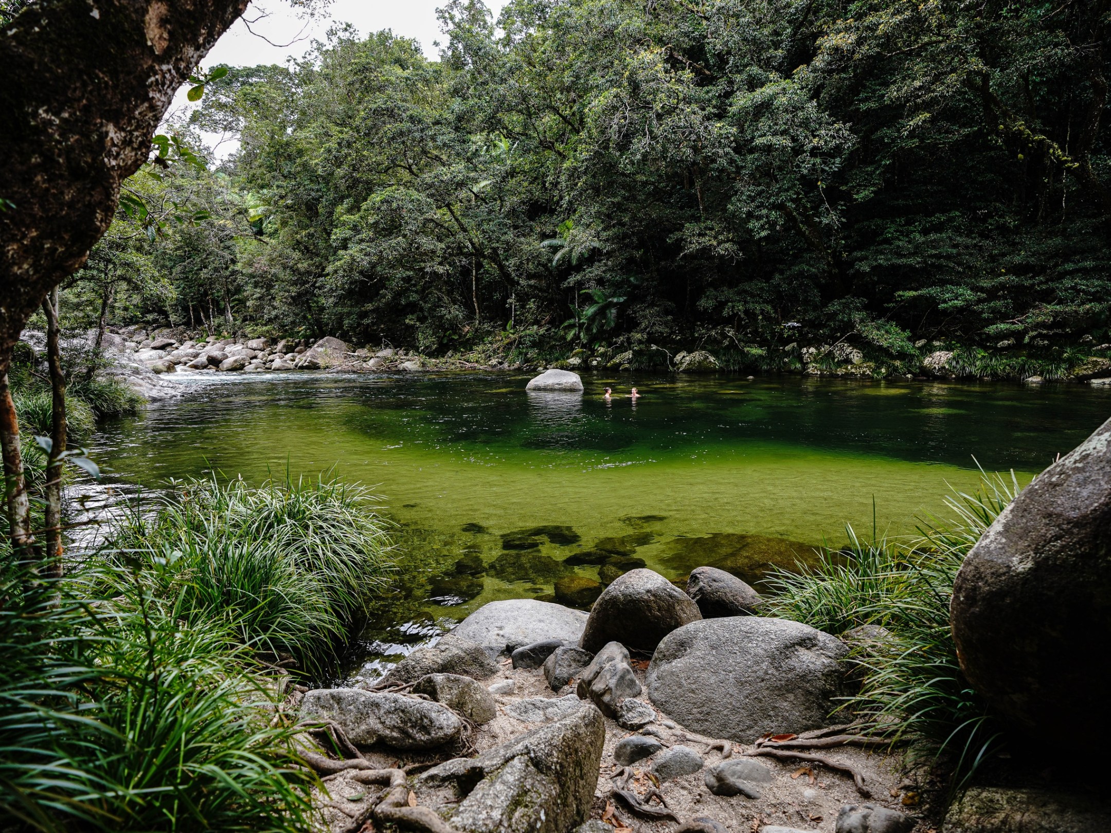a close up of a rock next to a river